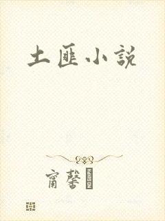 土匪小说