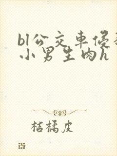 bl公交车侵犯小男生肉h