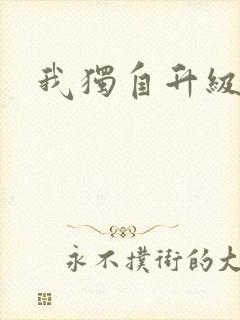 我独自升级小说