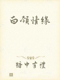 白领情缘