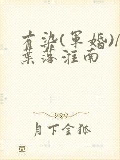 有染(军婚)/叶落淮南