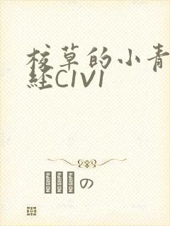 校草的小青梅不经C1V1