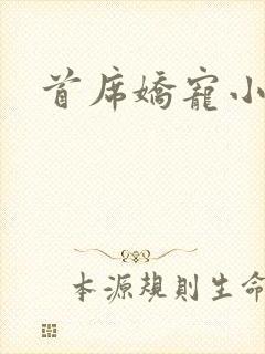 首席娇宠小情人