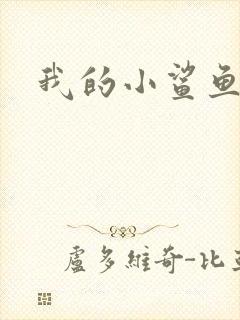 我的小鲨鱼