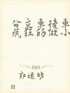 公交车后车座的疯狂的做小