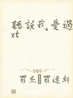 听说我爱过你txt