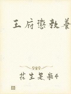 王府惩教养日常