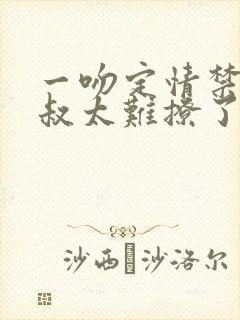 一吻定情禁欲小叔太难撩了