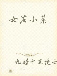 女友小叶