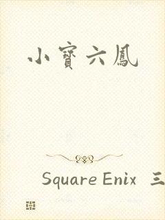 小宝六凤