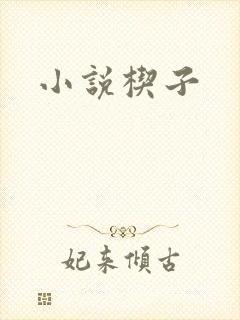 小说楔子