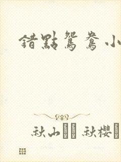 错点鸳鸯小说