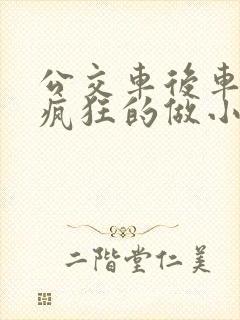 公交车后车座的疯狂的做小