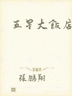 五星大饭店小说