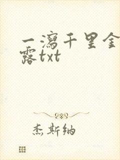 一泻千里金银花露txt