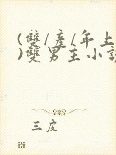 (双/产/年上)双男主小说