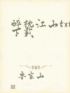 醉枕江山txt下载