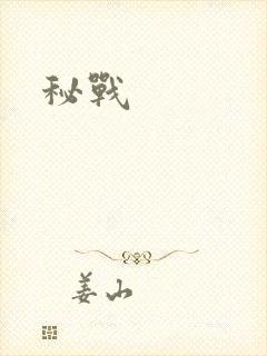 秘战