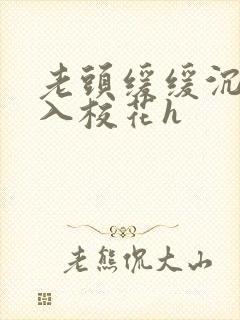 老头缓缓沉腰进入校花h