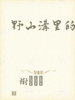 野山沟里的村庄