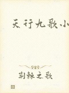 天行九歌小说