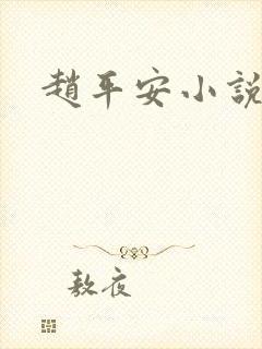 赵平安小说主角