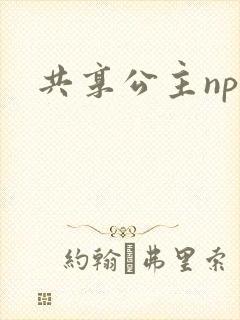 共享公主npc