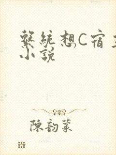 系统想C宿主的小说