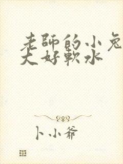 老师的小兔子好大好软水