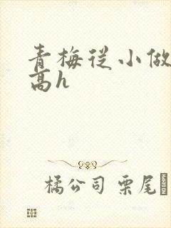 青梅从小做到大高h