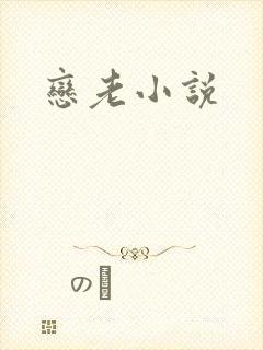 恋老小说