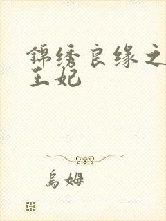 锦绣良缘之北地王妃