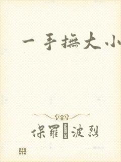 一手抚大小说