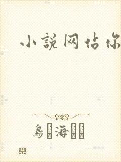 小说网站你懂的