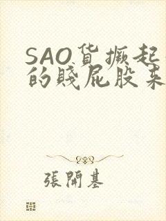 SAO货撅起你的贱屁股来