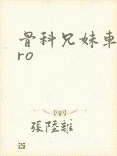 骨科兄妹车多pro