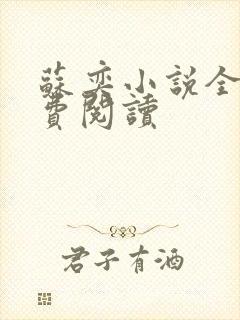 苏奕小说全文免费阅读