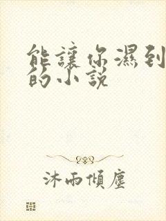 能让你湿到不行的小说