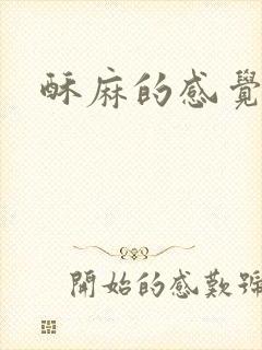 酥麻的感觉小说