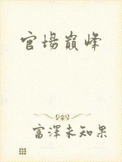官场巅峰
