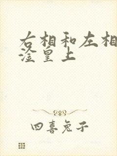右相和左相一起淦皇上