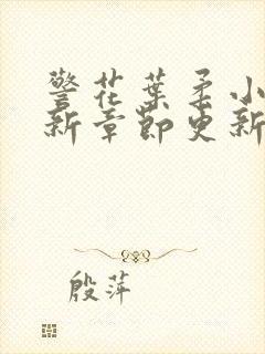 警花叶柔小说最新章节更新