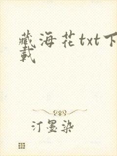 藏海花txt下载