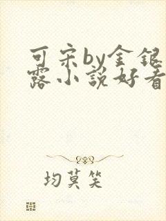 可宋by金银花露小说好看吗