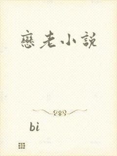 恋老小说
