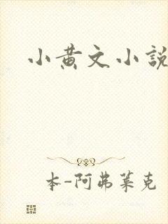 小黄文小说