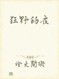 狂野的夜