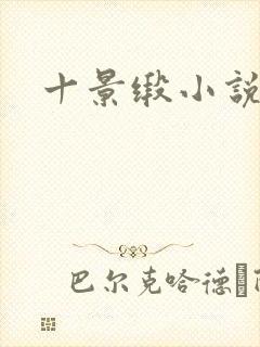 十景缎小说