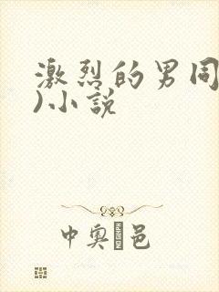 激烈的男同(h)小说