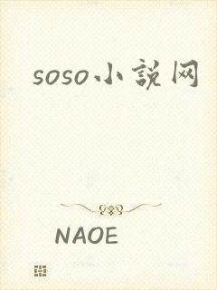 soso小说网